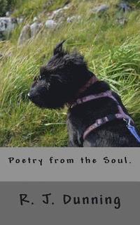 bokomslag Poetry from the Soul