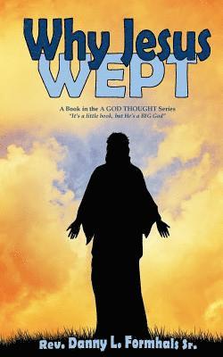 bokomslag Why Jesus Wept