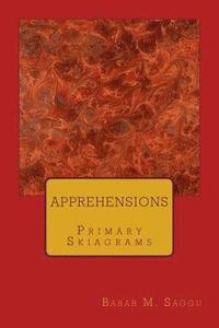 bokomslag Apprehensions: Primary Skiagrams