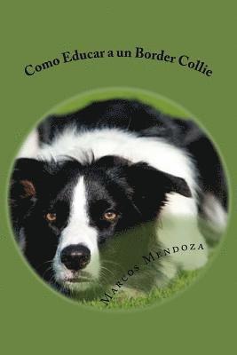 bokomslag Como Educar a un Border Collie