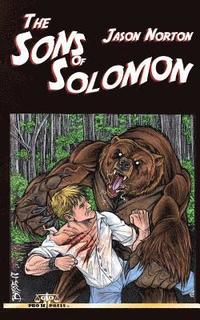 bokomslag The Sons of Solomon