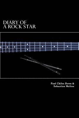 bokomslag Diary Of A Rock Star