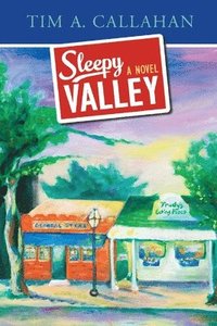 bokomslag Sleepy Valley