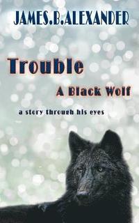 bokomslag Trouble a Black Wolf: The Story through his eyes