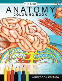 bokomslag Anatomy coloring book: Muscles and Physiology Workbook Edition