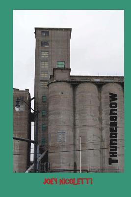 Joey Nicoletti - Thundersnow, Häftad