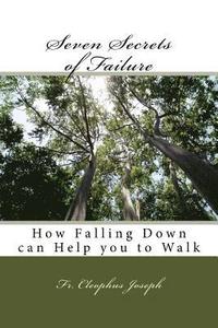 bokomslag Seven Secrets of Failure: How Falling Down can Help you to Walk