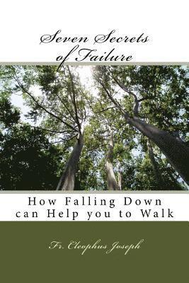 Seven Secrets of Failure: How Falling Down can Help you to Walk 1