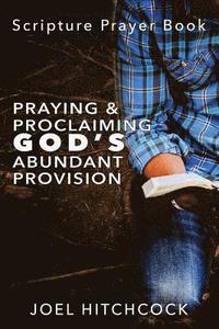 bokomslag Praying and Proclaiming God's Abundant Provision: Effectual Fervent Prayers and Proclamations of Faith for God's Abundant Provision