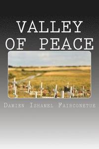 bokomslag Valley of peace