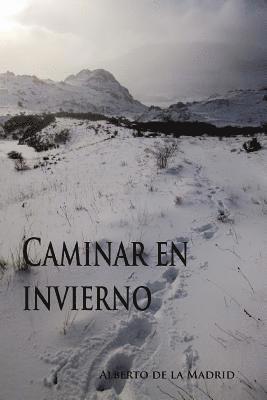 bokomslag Caminar en invierno