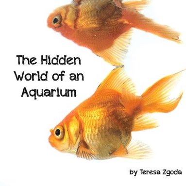 bokomslag The Hidden World of an Aquarium