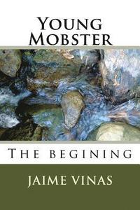 bokomslag Young Mobster: The begining