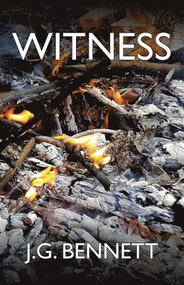 J. G. Bennett - Witness: The Story of a Search, Häftad