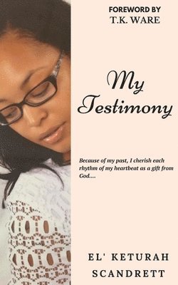 bokomslag My Testimony