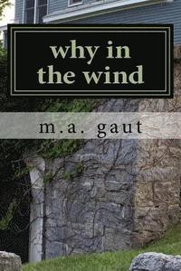 bokomslag why in the wind