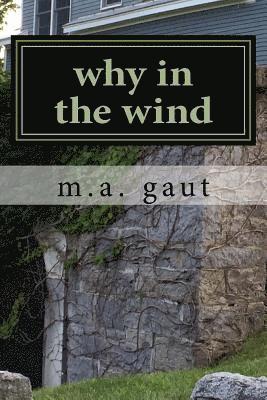 bokomslag why in the wind