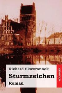 bokomslag Sturmzeichen: Roman