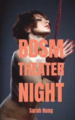 bokomslag BDSM Theater Night: The Complete First Season