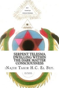 bokomslag Serpent Telesma Dwelling Within the Dark Matter Consciousness: Intro