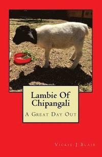 bokomslag Lambie Of Chipangali: A Great Day Out