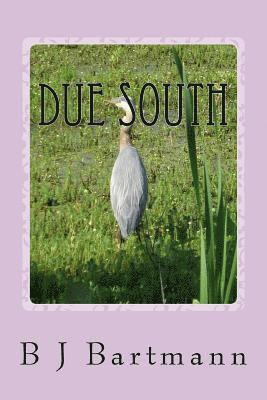 Due South 1