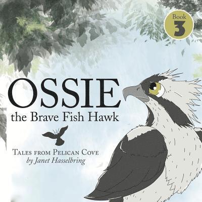 Ossie the Brave Fish Hawk 1