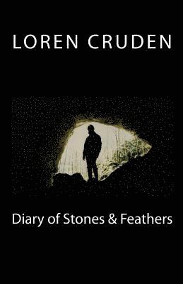 bokomslag Diary of Stones & Feathers