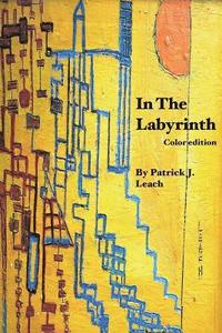 bokomslag In The Labyrinth