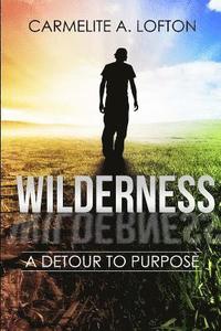bokomslag The Wilderness: A Detour to Purpose