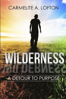 The Wilderness: A Detour to Purpose 1