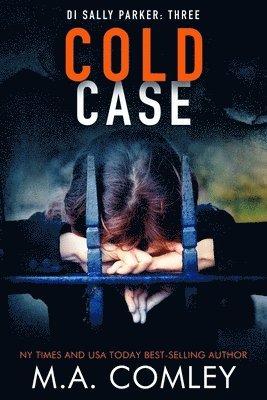 bokomslag Cold Case