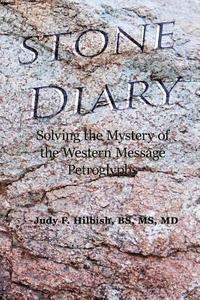 bokomslag Stone Diary: Solving the Mystery of the Western Message Petroglyphs