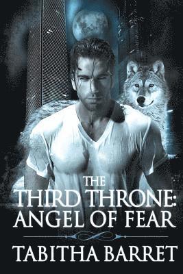bokomslag The Third Throne: Angel of Fear