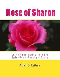 bokomslag Rose of Sharon