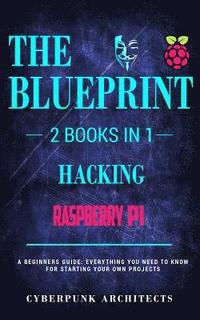 bokomslag Raspberry Pi 3 & Hacking: 2 Books in 1: THE BLUEPRINT: Everything You Need To Know