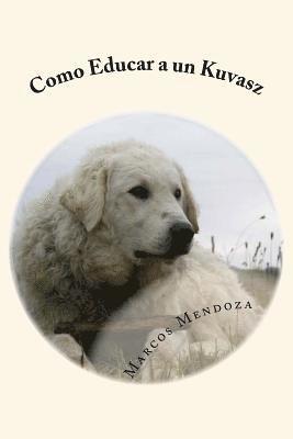 Como Educar a un Kuvasz 1