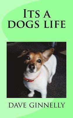 Dave Ginnelly - Its a Dogs Life, Häftad