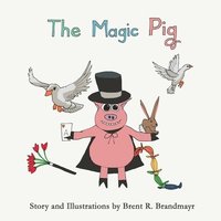 bokomslag Magic Pig
