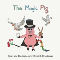 bokomslag The Magic Pig