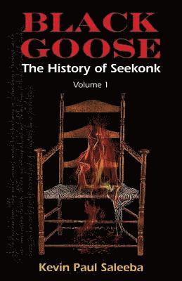 Black Goose: : The History of Seekonk, Vol. 1 1