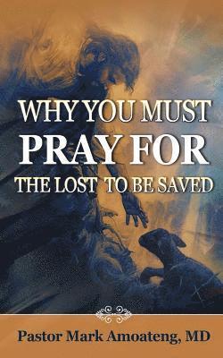 bokomslag Why You Must Pray For The Lost To Be Saved