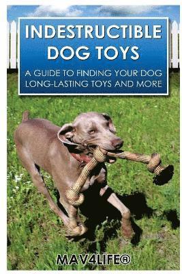 bokomslag Indestructible Dog Toys