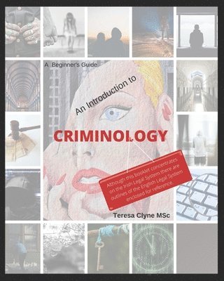 bokomslag A Beginner's Guide - An Introduction to Criminology