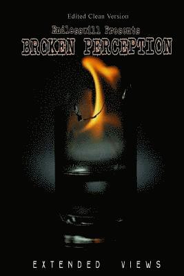 Broken Perception (CLEAN): Extended Views