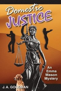 bokomslag Domestic Justice