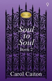 bokomslag Soul to Soul (RUSH, Inc. Book 2)