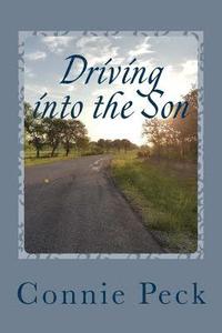 bokomslag Driving into the Son: A devotional for those who make their living on the road