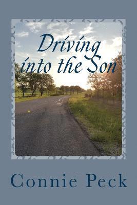 bokomslag Driving into the Son: A devotional for those who make their living on the road