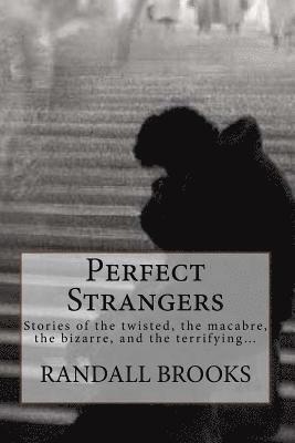 bokomslag Perfect Strangers